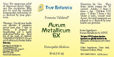 Aurum Metallicum 6X_30ml_V1 - Aurum Metallicum 6X 30ml V1